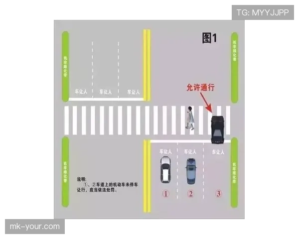 合理冲撞区规则解析及其判罚标准是什么？